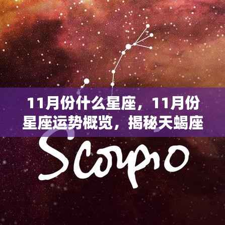 揭秘十一月星座运势,天蝎座与射手座的闪耀概览