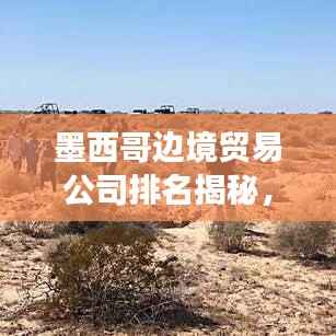 墨西哥边境贸易公司排名揭秘,市场概况一网打尽