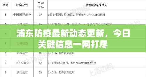 浦东防疫最新动态更新,今日关键信息一网打尽