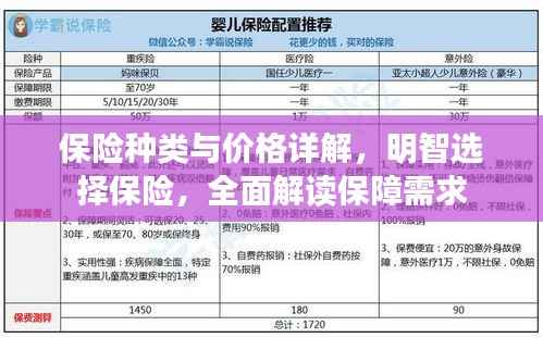 保险种类与价格详解,明智选择保险,全面解读保障需求