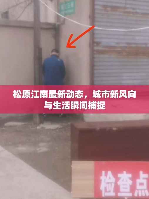 松原江南最新动态,城市新风向与生活瞬间捕捉