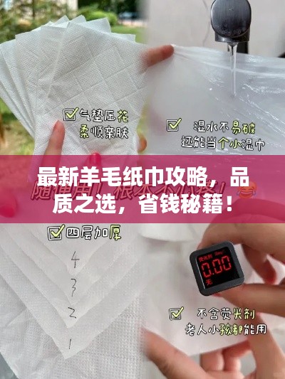 最新羊毛纸巾攻略,品质之选,省钱秘籍!