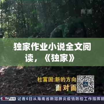 漫天飞舞 第5页