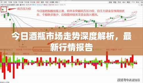 今日酒瓶市场走势深度解析,最新行情报告