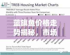 蓝旗鱼价格走势揭秘,市场趋势与影响因素深度解析