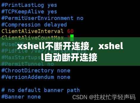 xshell不断开连接,xshell自动断开连接