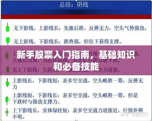 新手股票入门指南,基础知识和必备技能