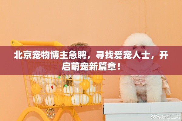 北京宠物博主急聘,寻找爱宠人士,开启萌宠新篇章!