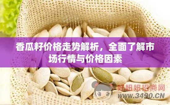 香瓜籽价格走势解析,全面了解市场行情与价格因素
