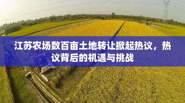 江苏农场数百亩土地转让掀起热议,热议背后的机遇与挑战