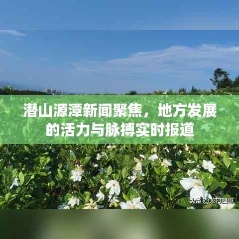 潜山源潭新闻聚焦,地方发展的活力与脉搏实时报道
