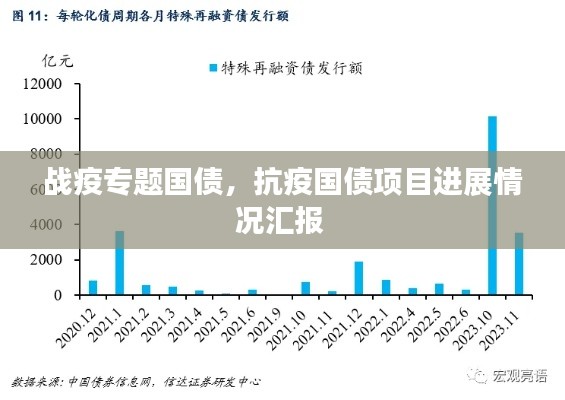 战疫专题国债,抗疫国债项目进展情况汇报