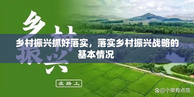 乡村振兴抓好落实,落实乡村振兴战略的基本情况