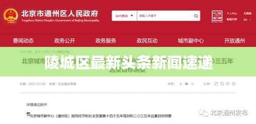 陵城区最新头条新闻速递