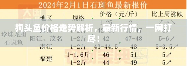 狗头鱼价格走势解析,最新行情,一网打尽!